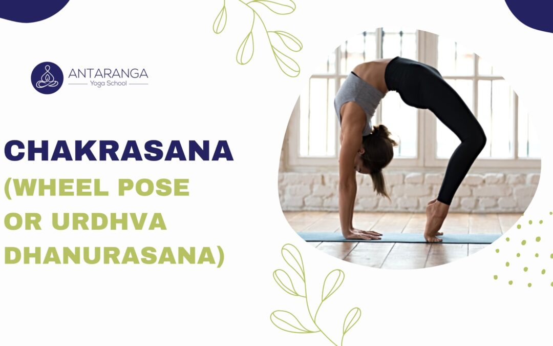Chakrasana (Wheel Pose or Urdhva Dhanurasana)